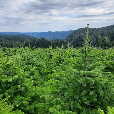 Hoamatgefuehl Naturpark Jauerling-wachau Διαμέρισμα Maria Laach am Jauerling