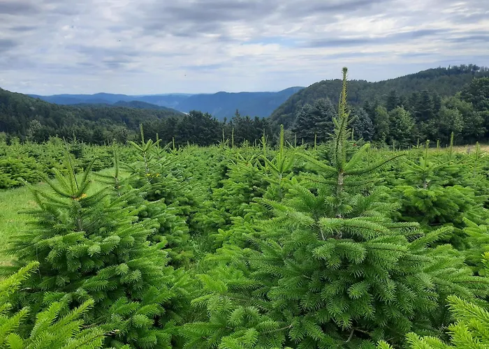 Hoamatgefuehl Naturpark Jauerling-wachau Apartment Maria Laach am Jauerling